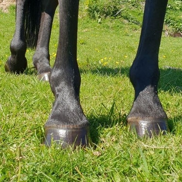 healthy hooves, 500ml