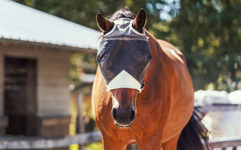 Horse wearing a fly mask