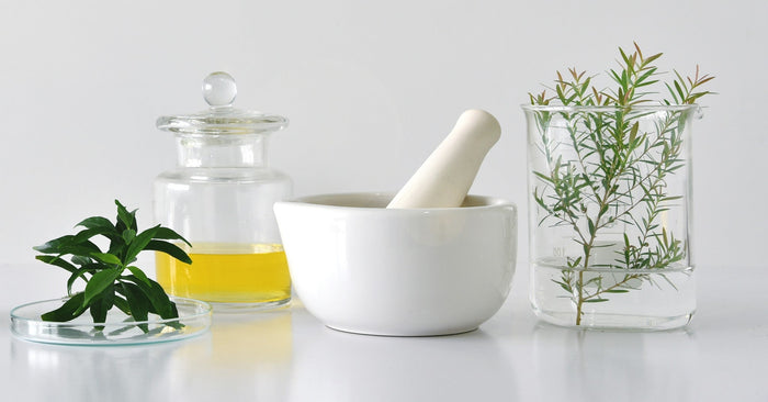 A balanced look at synthetic versus plant-based ingredients